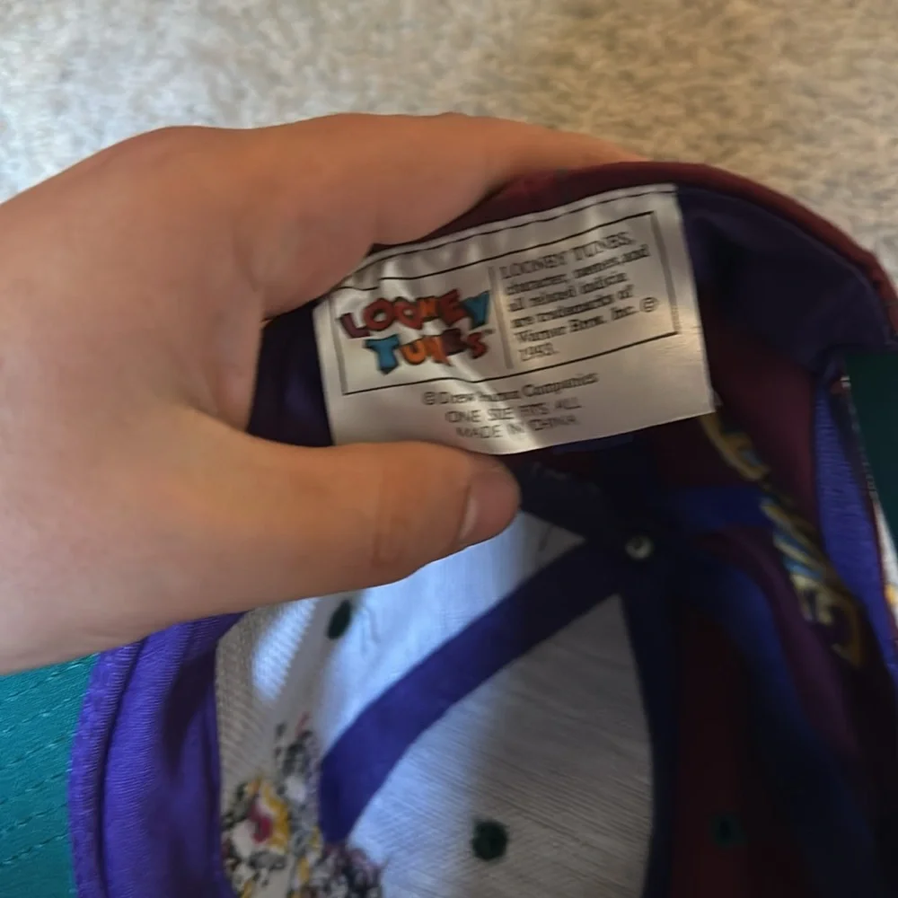 SUPER RARE 1993 Looney Tune Boyz Color Block Hat